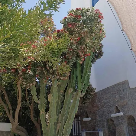 Mykonian Iros & Villa *