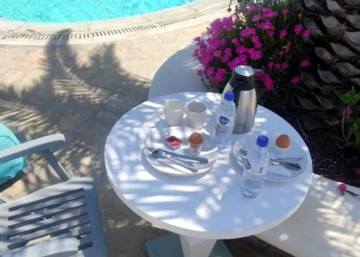 Villa Mykonian Iros & *