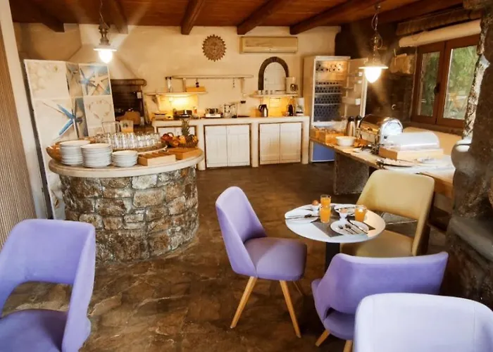 Mykonian Iros & Willa Kalo Livadi