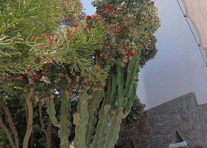 Mykonian Iros & וילה *