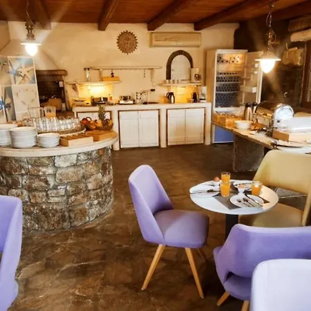 Mykonian Iros & Villa Kalo Livadi